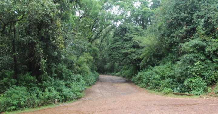 The Serene Bhadra Wildlife Sanctuary