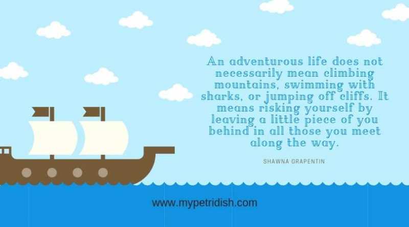 The Shooting Star By Shivya Nath. A Girl, Her Backpack & The World - My Petridish