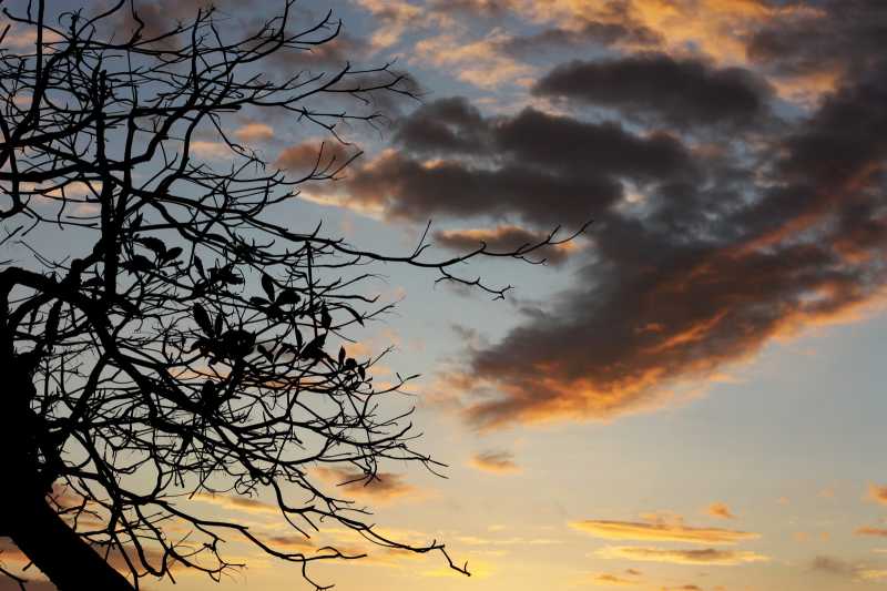 The Show Of The Sunset