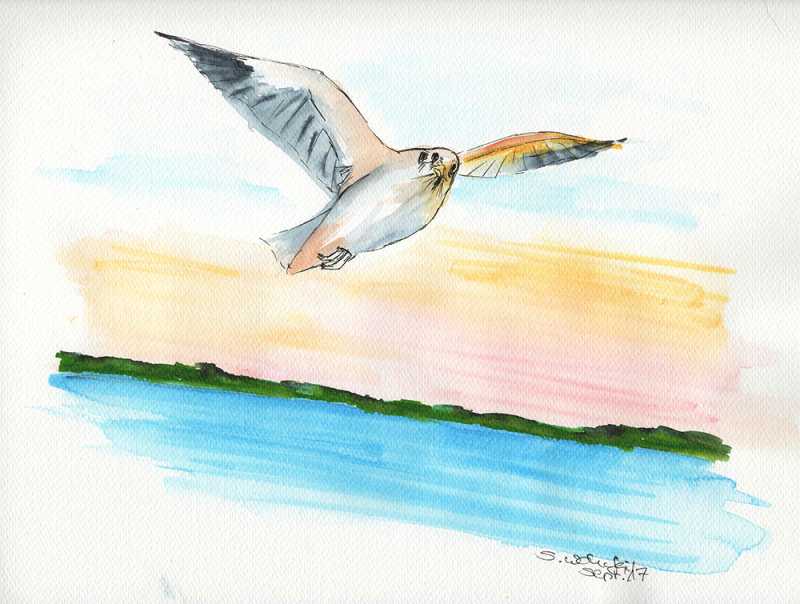 The Sketch Of The Staring Bird