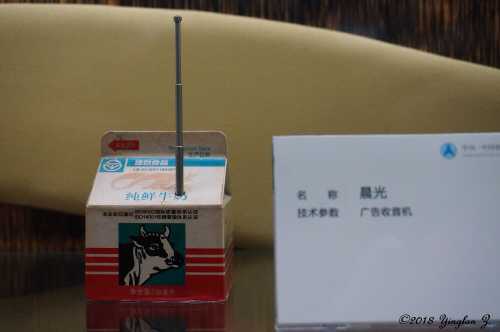 The Spy - Microfiction