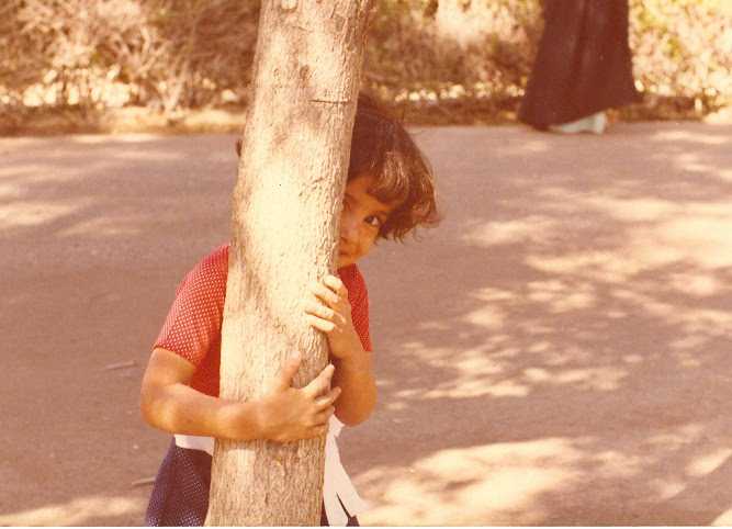 The Story Of My Life