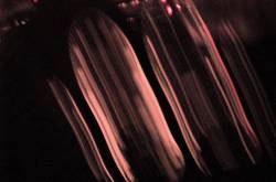 The Story of Latpat Desi