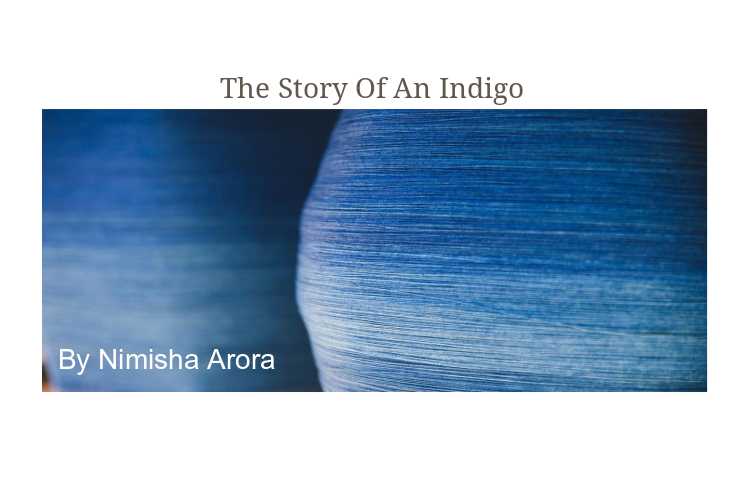 The Story Of An Indigo - NimsStyleFile