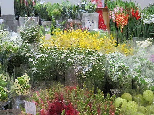 The Summer Solstice In Taiwan! Summer Solstice 235 Festival