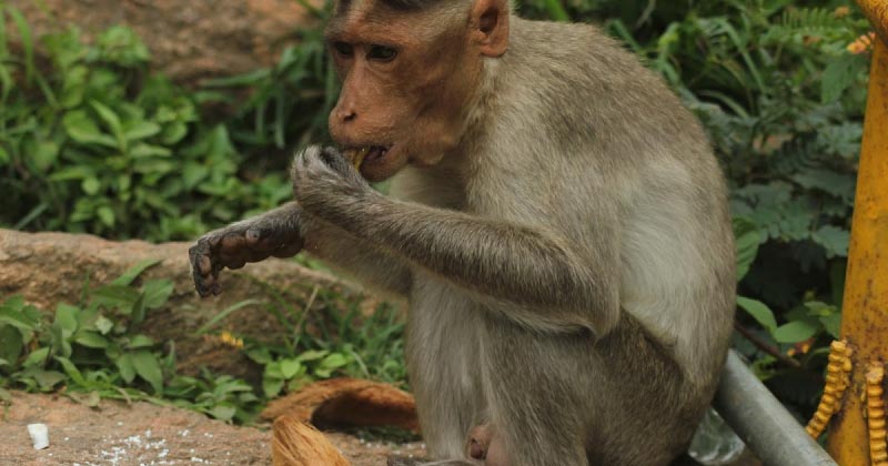 The Surprise Birthday Gift To The UNKNOWN