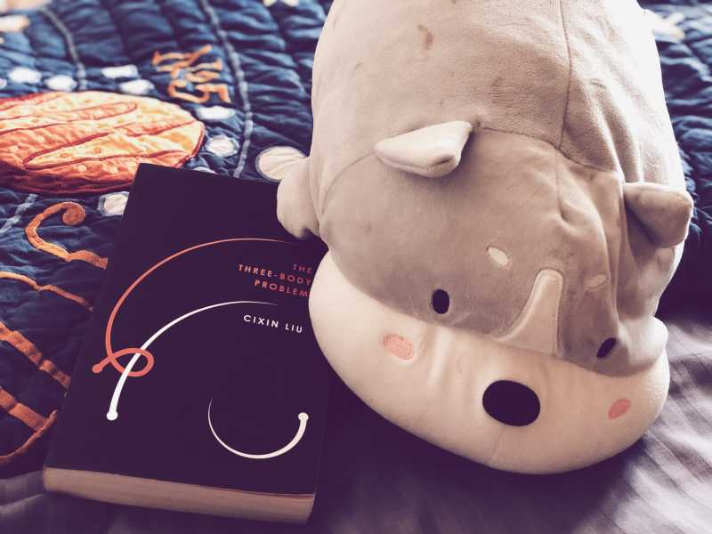 The Three Body Problem