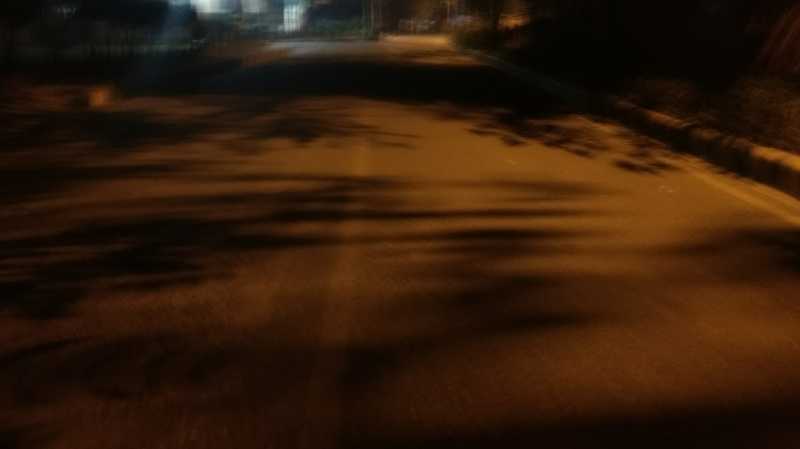 The Trepidation | Expressions!