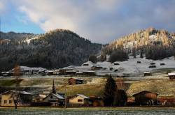 The Two Intellectuals