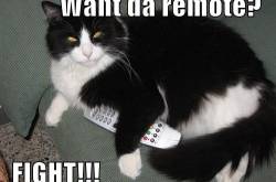 The Ultimate Family Moment (United around a box)