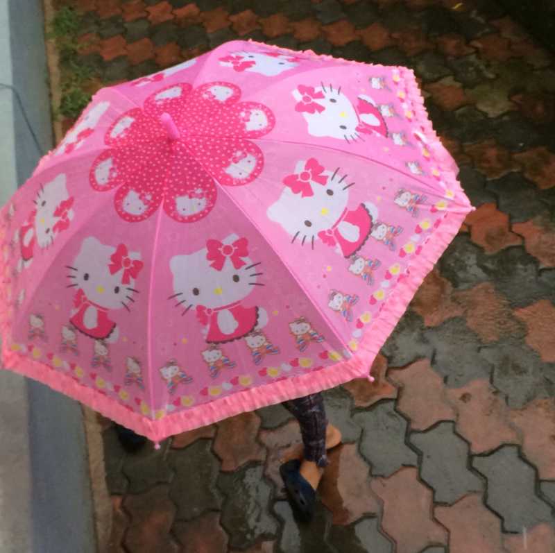 The Umbrella Chronicles.