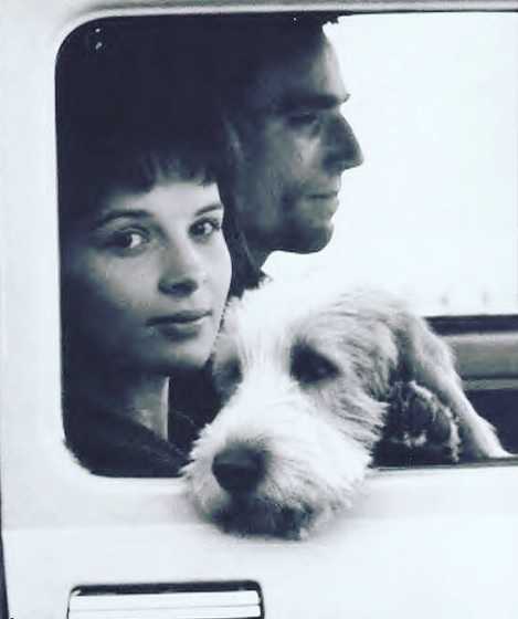 The Unbearable Lightness Of Being A Dog