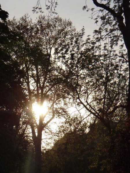 The Unknown Tangent!!