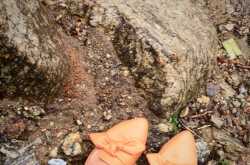 The Unplanned Travel Diaries #TheBlindList