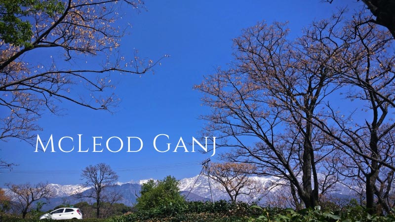 The Unplanned Trip - McLeod Ganj - I