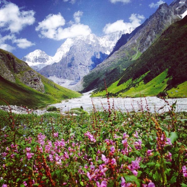 The Valley Of Flowers Trek - The Travel Shrink