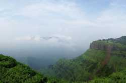 The Verandah in the Forest