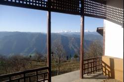 The View I Woke Up to for Three Months