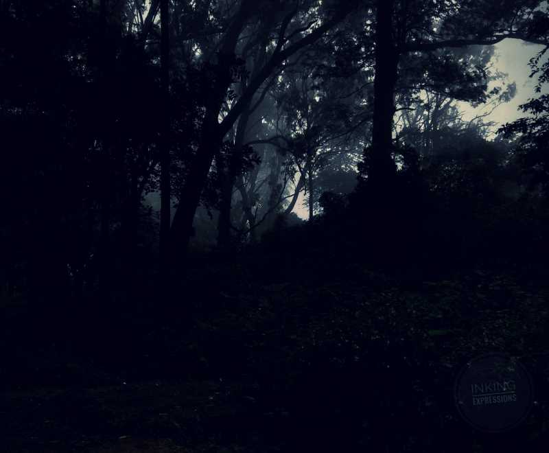 The Walk | Expressions!