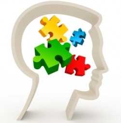 The Workout Series - Brain Health