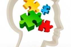 The Workout Series - Brain Health