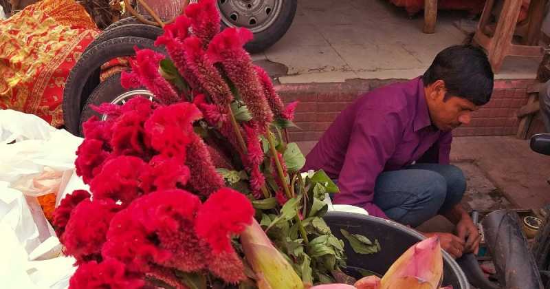 The World Around Me During Diwali