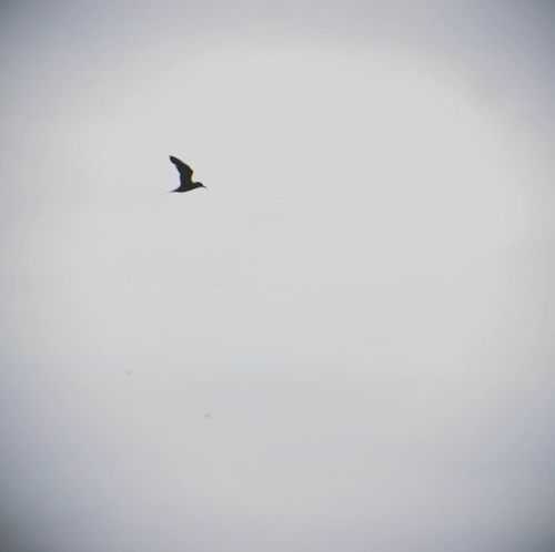 The World From My Eyes