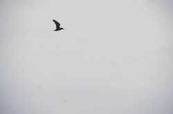 the world from my eyes