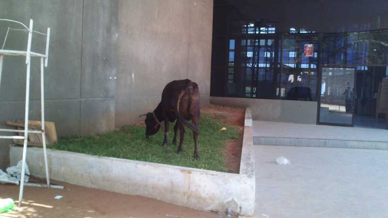 The Worst Disobedience In College 