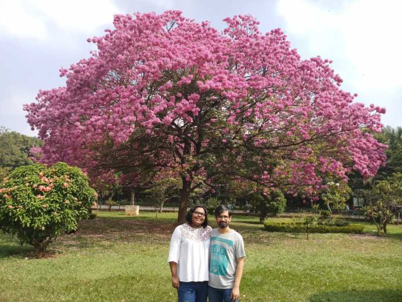 The Year That Was 2018 | Thejesh GN