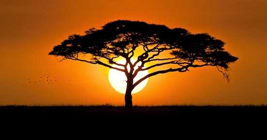 The #Zestful Journey Of My SENSEory Organs...