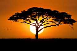 The #Zestful Journey of my SENSEory Organs...