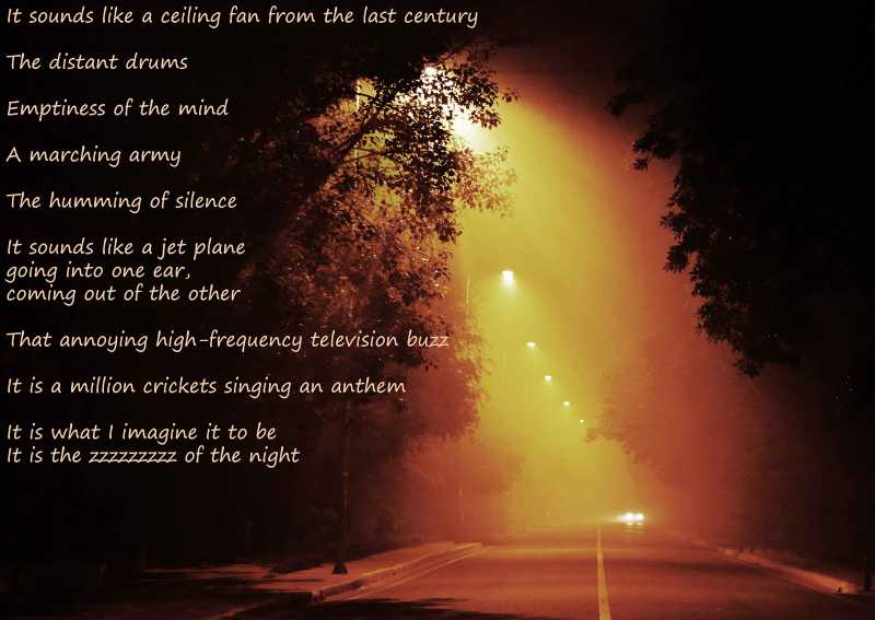 The Zzzzzzz Of The Night