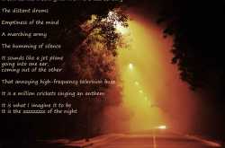 The Zzzzzzz of the night