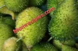 The amazing health benefits of Kantola / Spiny Gourd (teasle gourd)