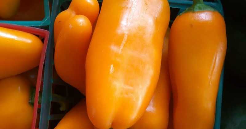 The Appeal Of Farmers