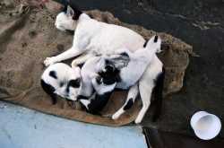 The bastard on the bike..