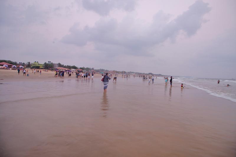 The Beautiful Landscape Of Goa - Wildtravellers.in