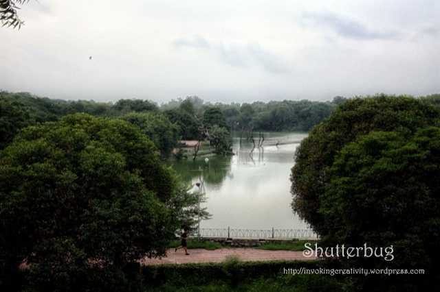 The Beauty Of Nature