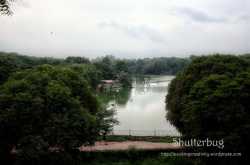 The beauty of nature