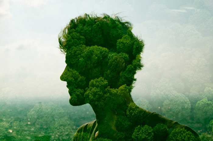 The Beginning And Remedy Of Western Suffering