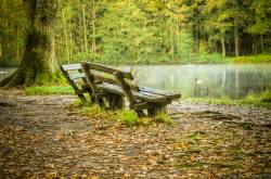 The belated prologue