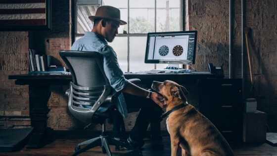 The Best Dog-friendly Offices To Work!