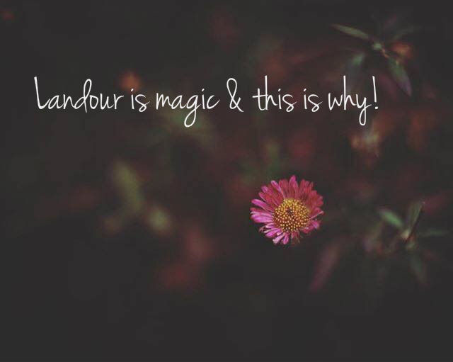 The Best Things To Do In Landour, Delhi