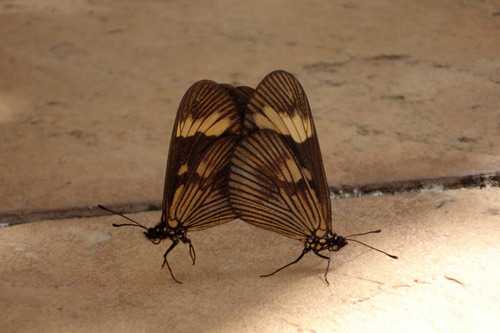 The Big Taboo Of Sex - Still Making People Feel Guilty Around The World! - 26 Sep 16