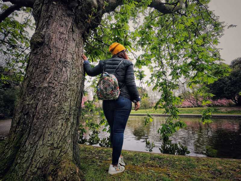 The Big Move From US To Ireland - Here