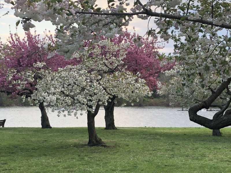 The Bottomless Pit..