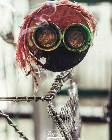 The Bulb Used To Be Our Home