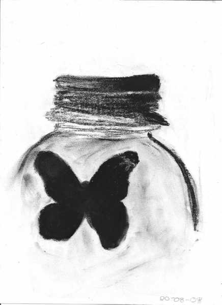 The Butterfly In The Jar