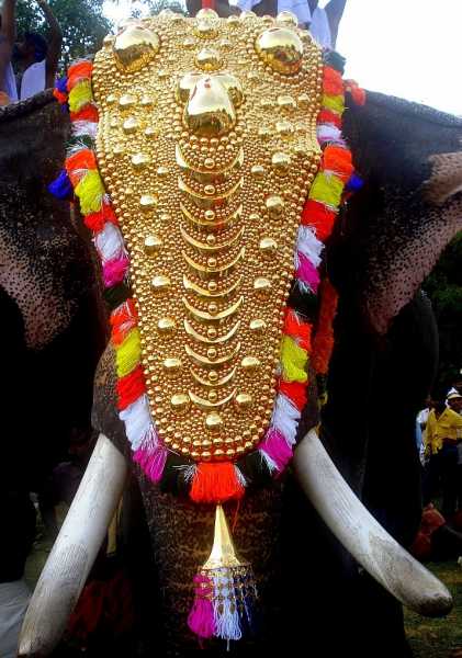 The Ceremonial Blunder..!!